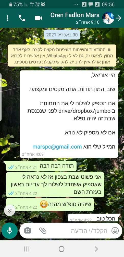 אורן הרצליה